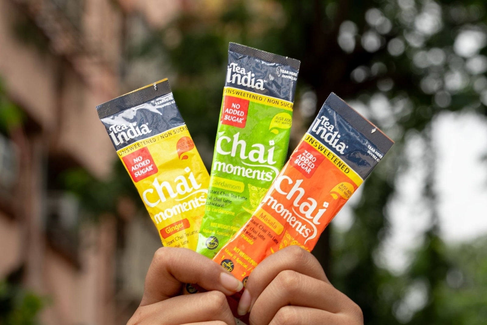 Ginger Cardamom & Masala Instant Chai Tea pouches being held with two hands with a tree in the background