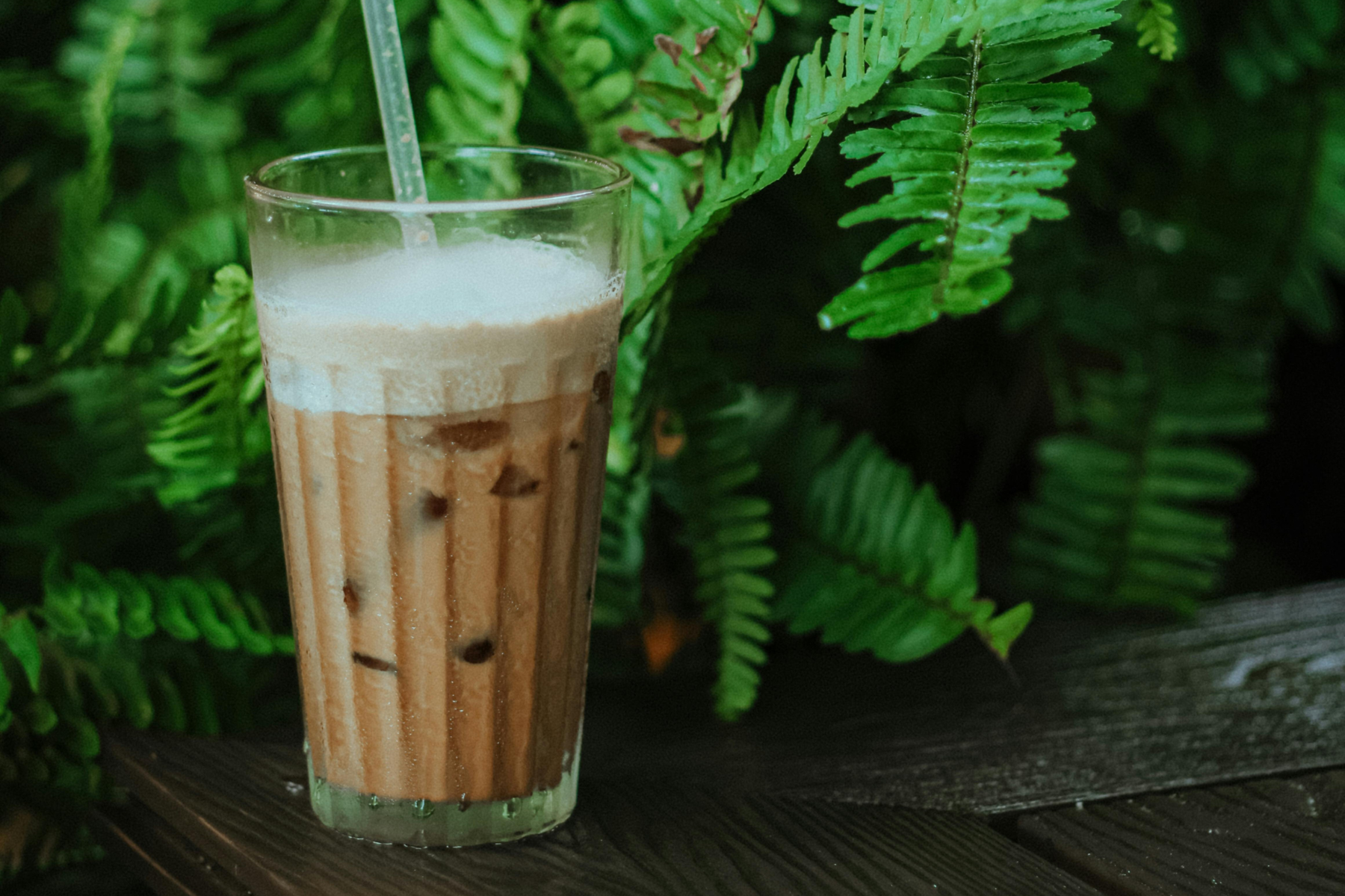 Iced masala chai in a tall glass with ice cubes against a backdrop of fresh green ferns