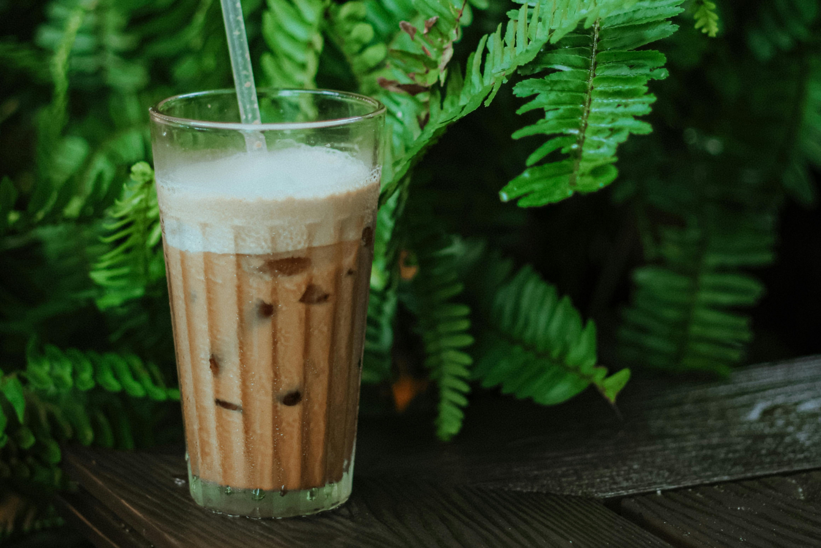 Iced masala chai in a tall glass with ice cubes against a backdrop of fresh green ferns
