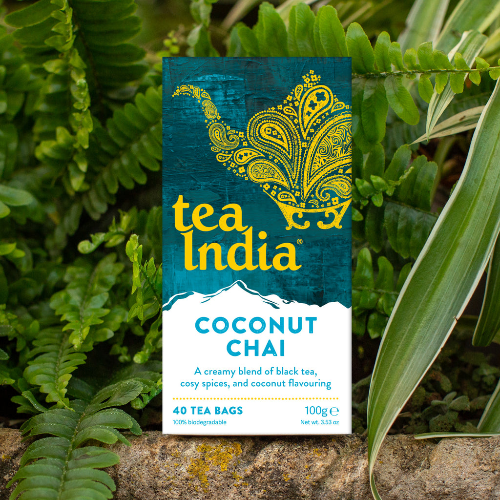 Tea India Coconut Chai tea bags box outdoors surrounded by green foliage