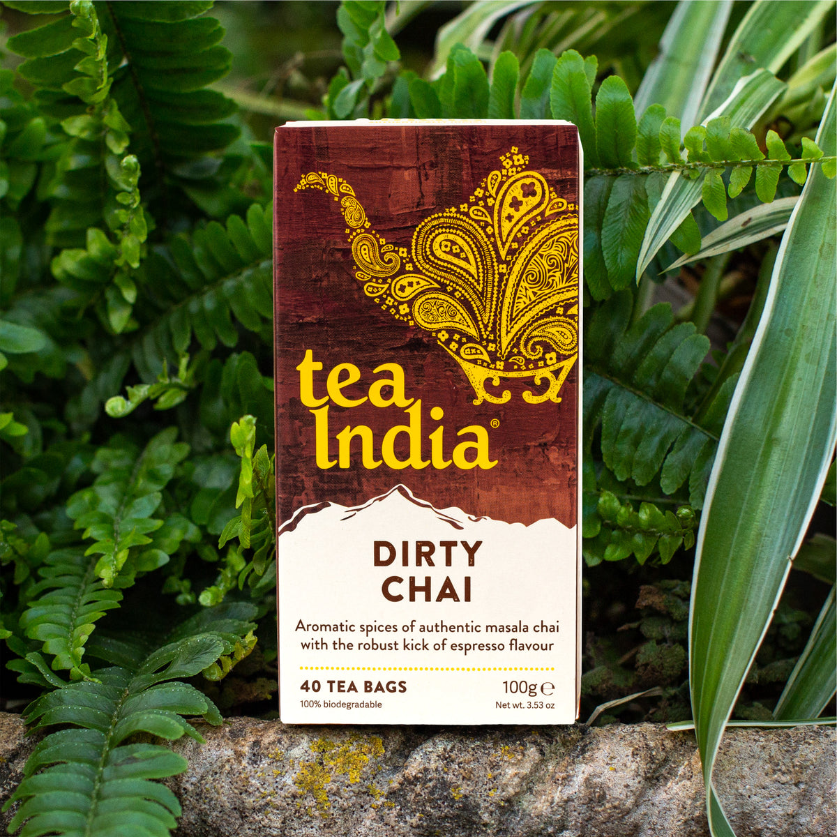 Tea India Dirty Chai tea bags box outdoors surrounded by green foliage